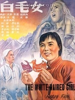2025年粤港澳大湾区（阳山）“香雪制药杯”第二届匹克球公开赛开赛
